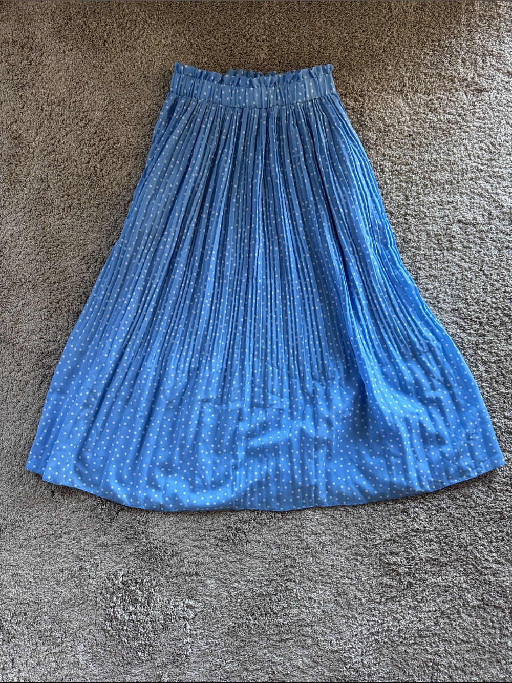 Blue Polka Dot Pleated Skirt